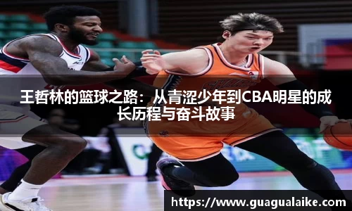 王哲林的篮球之路：从青涩少年到CBA明星的成长历程与奋斗故事